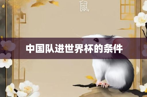 中国队进世界杯的条件