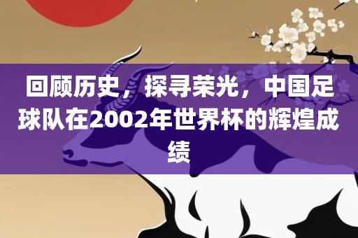 回顾历史，探寻荣光，中国足球队在2002年世界杯的辉煌成绩