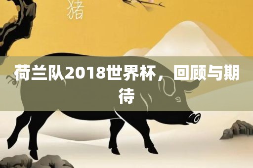 荷兰队201吉安市靖泰电力工程有限公司8世界杯，回顾与期待