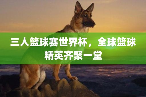 三人篮球赛世界杯，全球篮球精英齐聚一堂