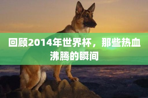 热门事件 第306页