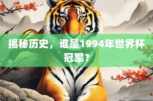 揭秘历史，谁是1994年世界杯冠军？吉安市靖泰电力工程有限公司