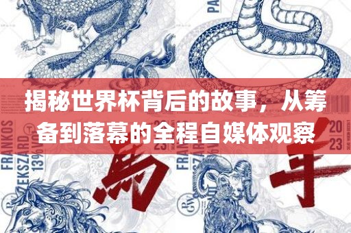 揭秘世界杯背后的故事，从筹备到落幕的全程自媒体观察