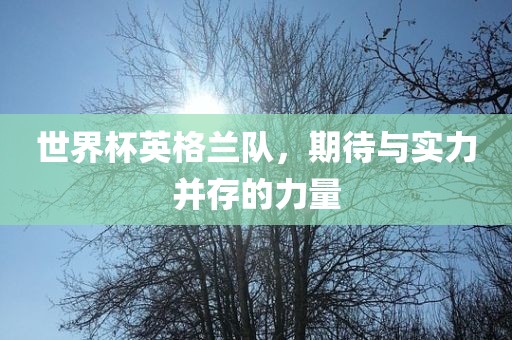 世界杯英格兰队，期待与实力并存的力量