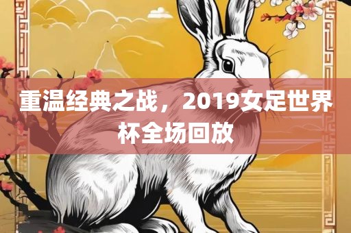 重温经典之吉安市靖泰电力工程有限公司战，2019女足世界杯全场回放