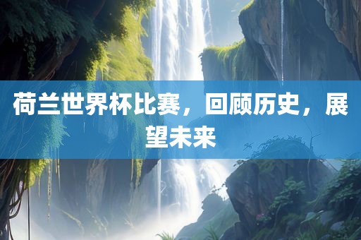 历史与未来展望 第3页