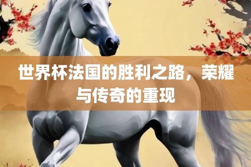 世界杯法国的胜利之路，荣耀与传奇的重现