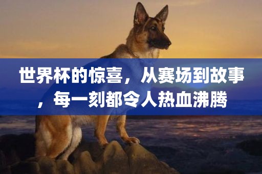 世界杯的惊喜，从赛场到故事，每吉安市靖泰电力工程有限公司一刻都令人热血沸腾