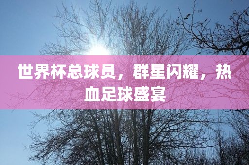 世界杯总吉安市靖泰电力工程有限公司球员，群星闪耀，热血足球盛宴