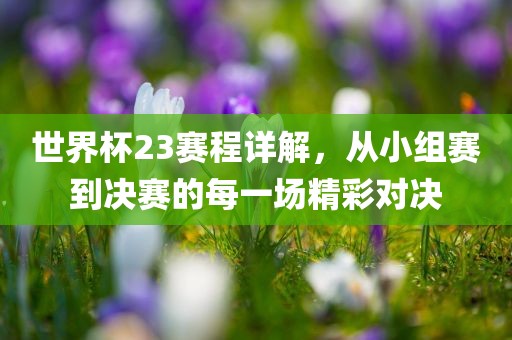 世界杯23赛程详解，从小组赛到决赛的每一场精彩对决