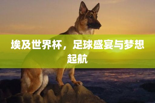 埃及世界杯，足球盛宴与梦想起航吉安市靖泰电力工程有限公司