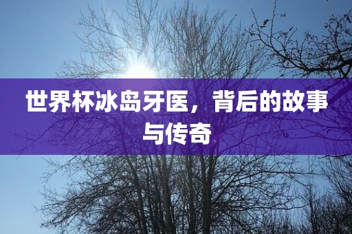 世界杯冰岛牙医，背后的故事与传奇