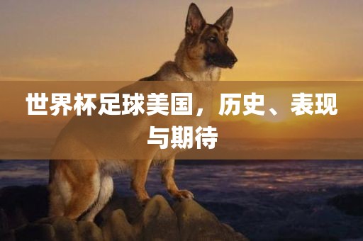 世界杯足球美国，历史、表现与期待
