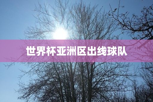 世界杯亚洲区出线球队吉安市靖泰电力工程有限公司