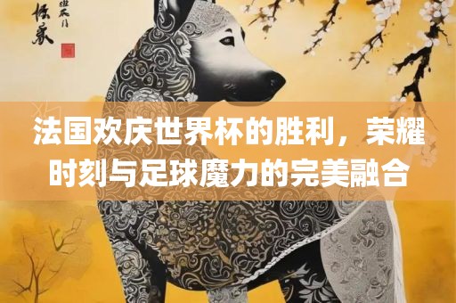 法国欢庆世界杯的胜利，荣耀时刻与足球魔力的完美融合吉安市靖泰电力工程有限公司