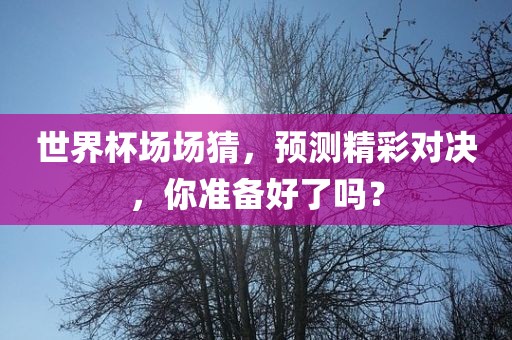 世界杯场场猜，预测精彩对决，你准备好了吗？