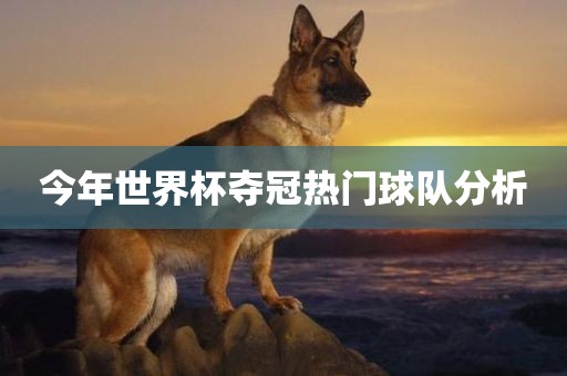今年世界杯夺冠热门球队分析吉安市靖泰电力工程有限公司