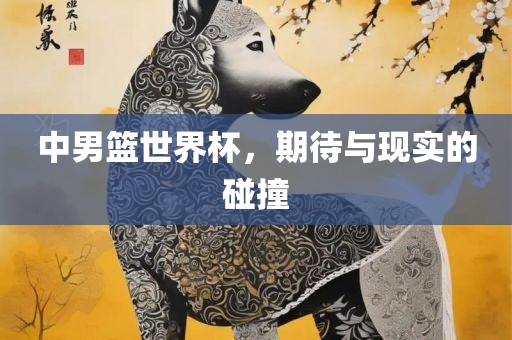 中男篮世界杯，期待与现实的碰撞