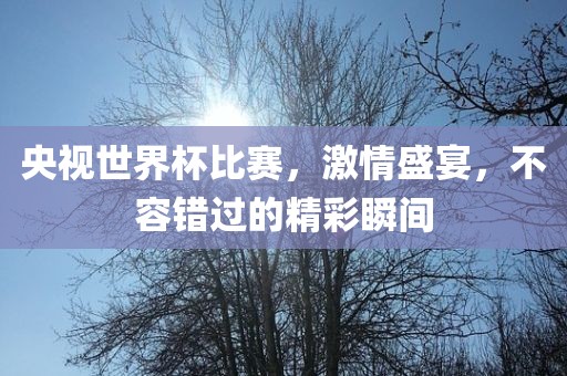 央视世界杯比赛，激情盛宴，不容错过的精彩瞬间吉安市靖泰电力工程有限公司