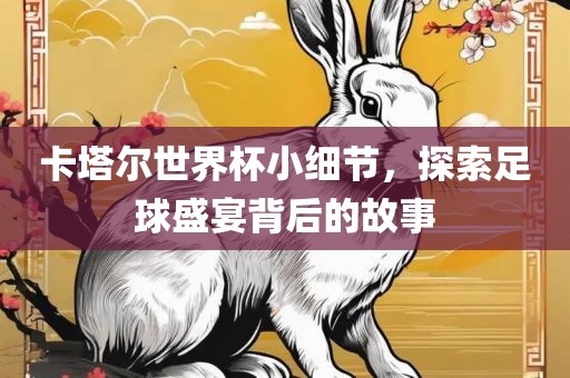 卡塔尔世界杯小细节，探索足球盛宴背后的故事