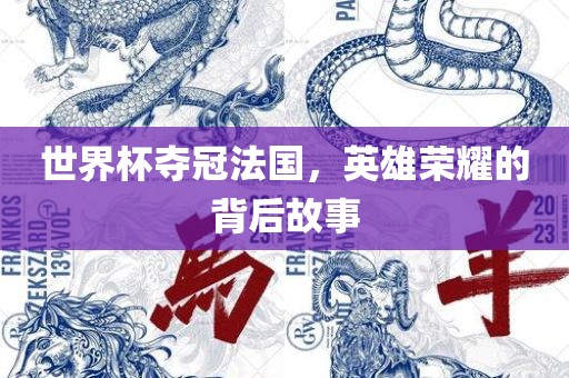 世界杯夺冠法国，英雄荣耀的背后故事