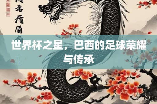 世界杯之星，巴西的足球荣耀与传承