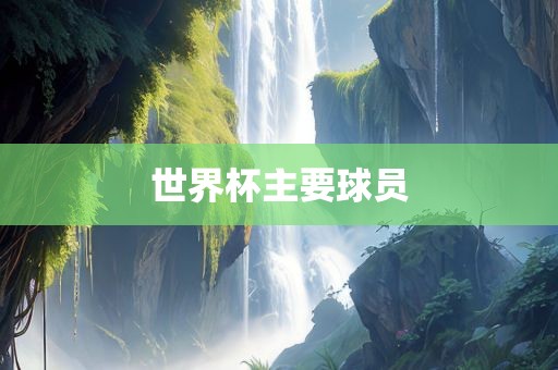 世界杯主要球员