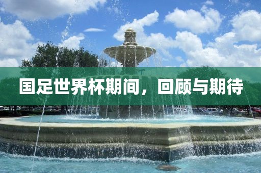 国足世界杯期间，回顾与期待