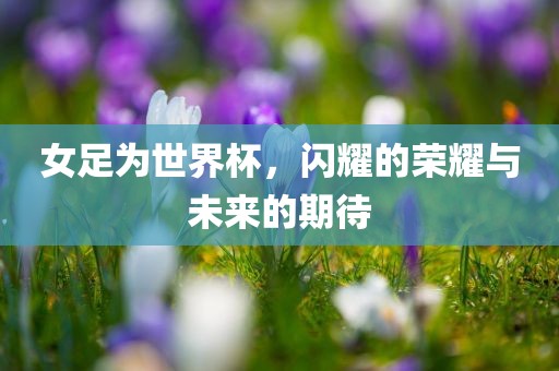 女足为世界杯，闪耀的荣耀与未来的期待吉安市靖泰电力工程有限公司