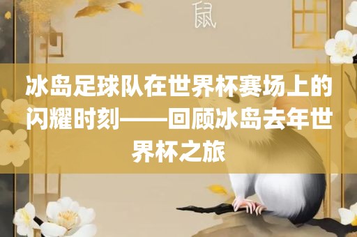 冰岛足球队在世界杯赛场上的闪耀时刻——回顾冰岛去年世界杯之旅