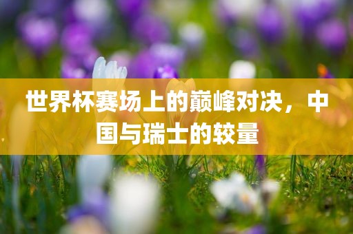世界杯赛场上的巅峰对决，中国与瑞士的较量吉安市靖泰电力工程有限公司