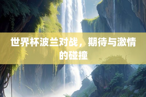世界杯波兰对战，期待与激情的碰撞