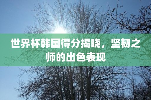 世界杯韩国得分揭晓，坚韧之师的出色表现