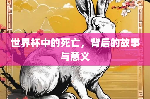 世界杯中的死亡，背后的故事与意义