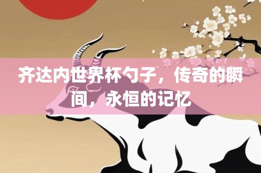 齐达内世界杯勺子，传奇的瞬间，永恒的记忆吉安市靖泰电力工程有限公司