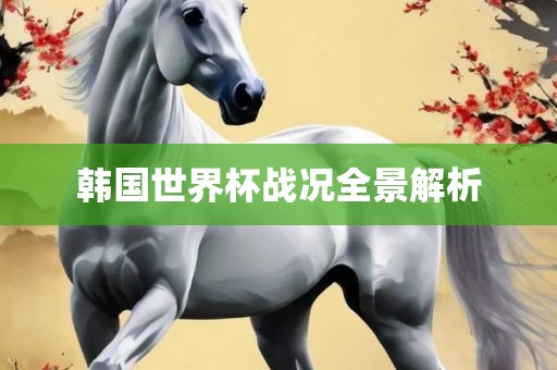 韩国世界杯战况全吉安市靖泰电力工程有限公司景解析