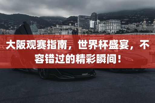 大阪观赛指南，世界杯盛宴，不容错过的精彩瞬间！