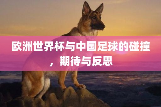 欧洲世界杯与中国足球的碰撞，期待与反思
