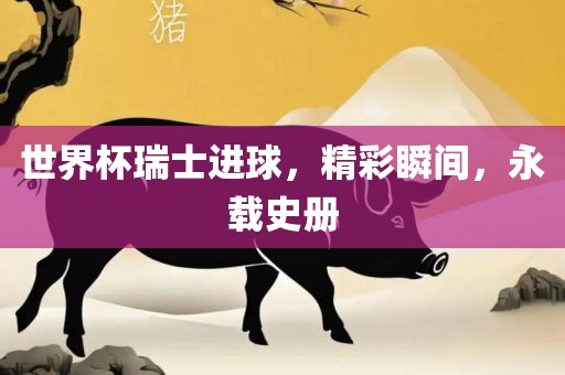 世界杯瑞士进球，精彩瞬间，永载史册