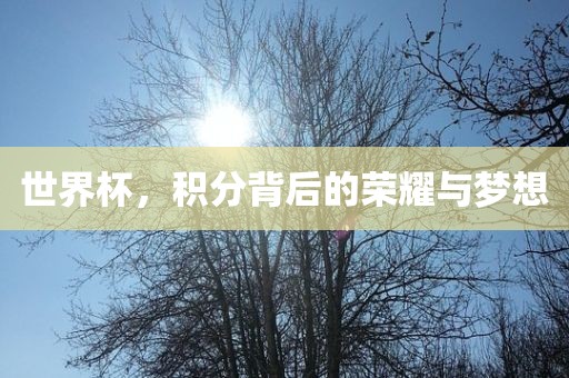 世界杯，积分背后的荣耀与梦想