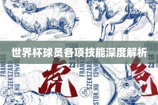 世界杯球员各项技能深度解析
