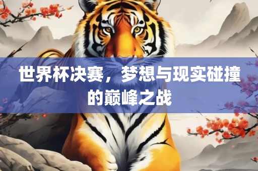 世界杯决赛，梦想与现实碰撞的巅峰之战