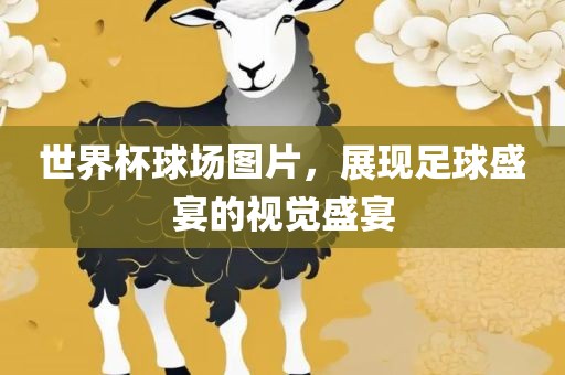 世界杯球场图片，展现足球盛宴的视觉盛宴