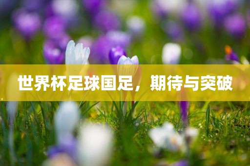 世界杯足球国足，期待与吉安市靖泰电力工程有限公司突破