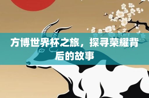 方博世界杯之旅，探寻荣耀背后的故事