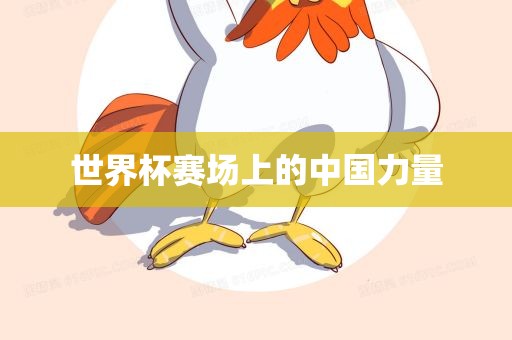 世界杯赛场上的中国力量