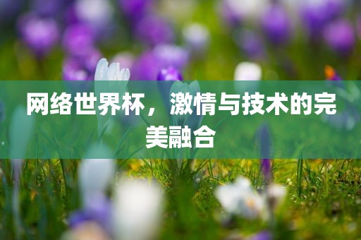 网络世界杯，激情与技术的完美融合吉安市靖泰电力工程有限公司