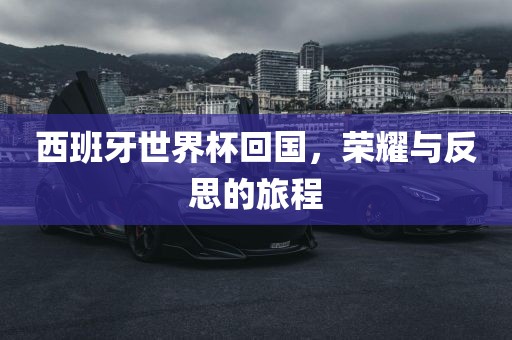 西班牙世界杯回国，荣耀与反思的旅程