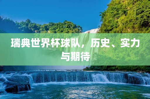 瑞典世界杯球队，历史、实力与期待