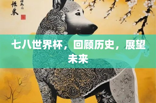 七八世界杯，回顾历史，展望未来吉安市靖泰电力工程有限公司